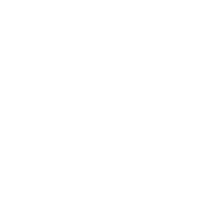 fundacion cdt
